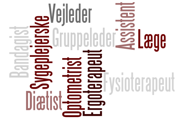 Social- og sundhedssektorens fagpersoner