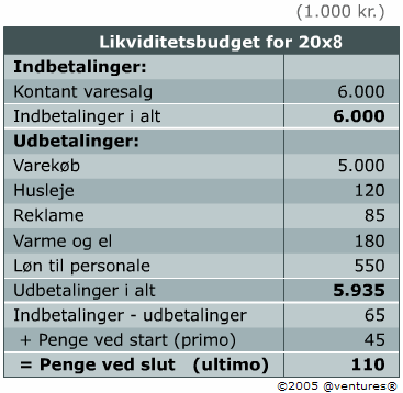 Likviditetsbudget